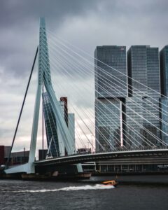 Scaleup Report Rotterdam